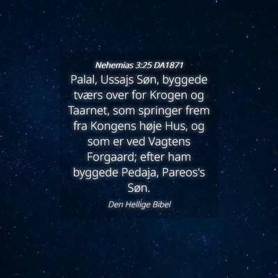Picture 04 - Nehemias 3:25 DA1871 - Palal, Ussajs Søn, byggede tværs over for - Bible Verse Picture