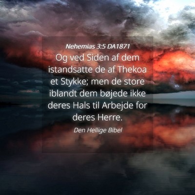 Picture 04 - Nehemias 3:5 DA1871 - Og ved Siden af dem istandsatte de af Thekoa et - Bible Verse Picture