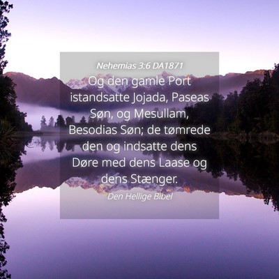 Picture 04 - Nehemias 3:6 DA1871 - Og den gamle Port istandsatte Jojada, Paseas - Bible Verse Picture