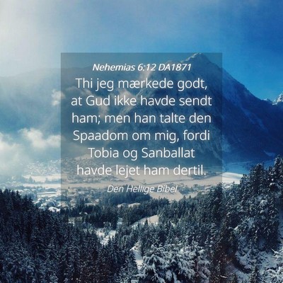 Picture 04 - Nehemias 6:12 DA1871 - Thi jeg mærkede godt, at Gud ikke havde sendt - Bible Verse Picture