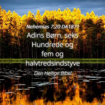Picture 04 - Nehemias 7:20 DA1871 - Adins Børn, seks Hundrede og fem og - Bible Verse Picture