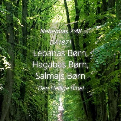 Picture 04 - Nehemias 7:48 DA1871 - Lebanas Børn, Hagabas Børn, Salmajs - Bible Verse Picture