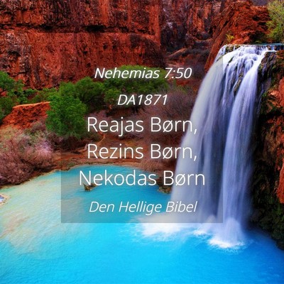 Picture 04 - Nehemias 7:50 DA1871 - Reajas Børn, Rezins Børn, Nekodas - Bible Verse Picture
