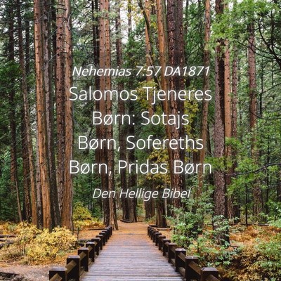 Picture 04 - Nehemias 7:57 DA1871 - Salomos Tjeneres Børn: Sotajs Børn, Sofereths - Bible Verse Picture