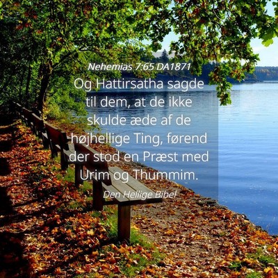 Picture 04 - Nehemias 7:65 DA1871 - Og Hattirsatha sagde til dem, at de ikke skulde - Bible Verse Picture