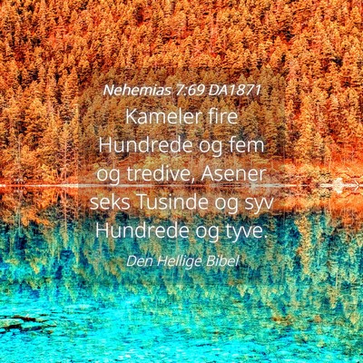 Picture 04 - Nehemias 7:69 DA1871 - Kameler fire Hundrede og fem og tredive, Asener - Bible Verse Picture