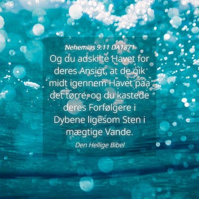 Picture 04 - Nehemias 9:11 DA1871 - Og du adskilte Havet for deres Ansigt, at de gik - Bible Verse Picture