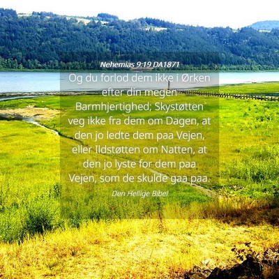 Picture 04 - Nehemias 9:19 DA1871 - Og du forlod dem ikke i Ørken efter din megen - Bible Verse Picture