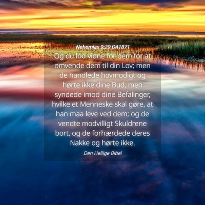 Picture 04 - Nehemias 9:29 DA1871 - Og du lod vidne for dem for at omvende dem til - Bible Verse Picture