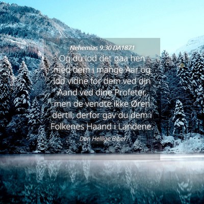 Picture 04 - Nehemias 9:30 DA1871 - Og du lod det gaa hen med dem i mange Aar og lod - Bible Verse Picture