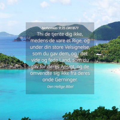 Picture 04 - Nehemias 9:35 DA1871 - Thi de tjente dig ikke, medens de vare et Rige, - Bible Verse Picture