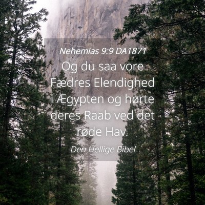 Picture 04 - Nehemias 9:9 DA1871 - Og du saa vore Fædres Elendighed i Ægypten og - Bible Verse Picture