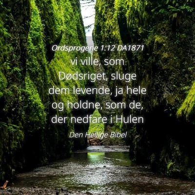 Picture 04 - Ordsprogene 1:12 DA1871 - vi ville, som Dødsriget, sluge dem levende, ja - Bible Verse Picture
