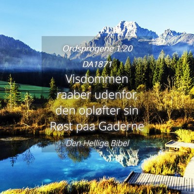Picture 04 - Ordsprogene 1:20 DA1871 - Visdommen raaber udenfor, den opløfter sin Røst - Bible Verse Picture