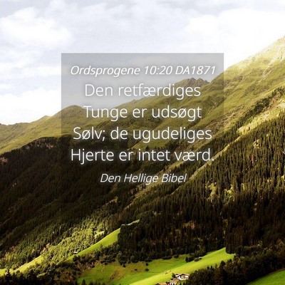 Picture 04 - Ordsprogene 10:20 DA1871 - Den retfærdiges Tunge er udsøgt Sølv; de - Bible Verse Picture