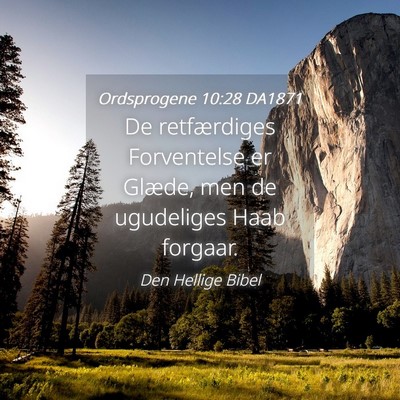 Picture 04 - Ordsprogene 10:28 DA1871 - De retfærdiges Forventelse er Glæde, men de - Bible Verse Picture