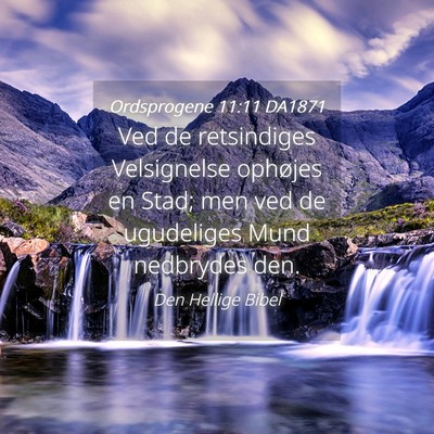 Picture 04 - Ordsprogene 11:11 DA1871 - Ved de retsindiges Velsignelse ophøjes en Stad; - Bible Verse Picture