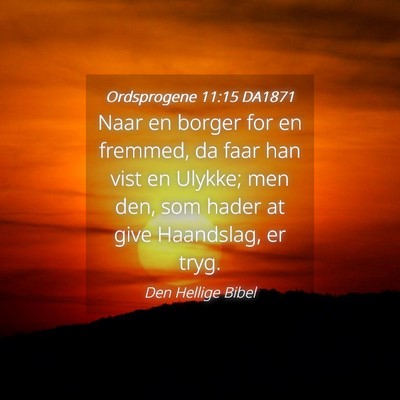 Picture 04 - Ordsprogene 11:15 DA1871 - Naar en borger for en fremmed, da faar han vist - Bible Verse Picture