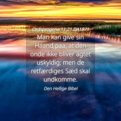 Picture 04 - Ordsprogene 11:21 DA1871 - Man kan give sin Haand paa, at den onde ikke - Bible Verse Picture