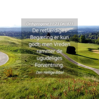 Picture 04 - Ordsprogene 11:23 DA1871 - De retfærdiges Begæring er kun godt; men Vreden - Bible Verse Picture