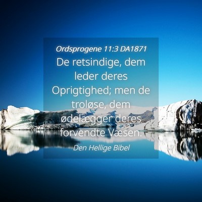 Picture 04 - Ordsprogene 11:3 DA1871 - De retsindige, dem leder deres Oprigtighed; men - Bible Verse Picture