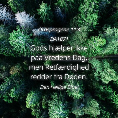 Picture 04 - Ordsprogene 11:4 DA1871 - Gods hjælper ikke paa Vredens Dag, men - Bible Verse Picture