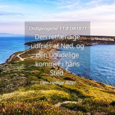 Picture 04 - Ordsprogene 11:8 DA1871 - Den retfærdige udfries af Nød, og den ugudelige - Bible Verse Picture