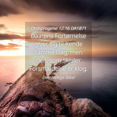 Picture 04 - Ordsprogene 12:16 DA1871 - Daarens Fortørnelse giver sig til Kende samme - Bible Verse Picture