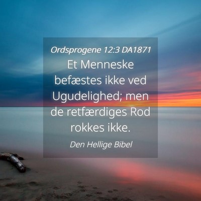Picture 04 - Ordsprogene 12:3 DA1871 - Et Menneske befæstes ikke ved Ugudelighed; men - Bible Verse Picture