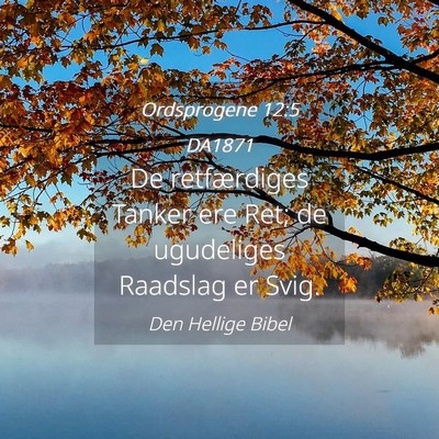 Picture 04 - Ordsprogene 12:5 DA1871 - De retfærdiges Tanker ere Ret; de ugudeliges - Bible Verse Picture