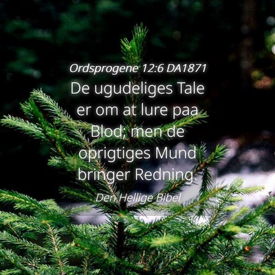 Picture 04 - Ordsprogene 12:6 DA1871 - De ugudeliges Tale er om at lure paa Blod; men de - Bible Verse Picture