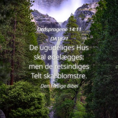 Picture 04 - Ordsprogene 14:11 DA1871 - De ugudeliges Hus skal ødelægges; men de - Bible Verse Picture