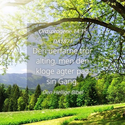 Picture 04 - Ordsprogene 14:15 DA1871 - Den uerfarne tror alting, men den kloge agter paa - Bible Verse Picture