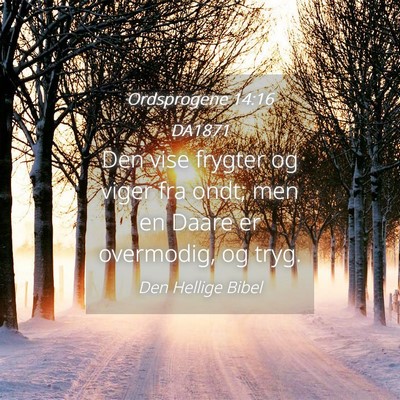 Picture 04 - Ordsprogene 14:16 DA1871 - Den vise frygter og viger fra ondt; men en Daare - Bible Verse Picture