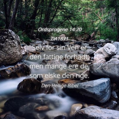 Picture 04 - Ordsprogene 14:20 DA1871 - Selv for sin Ven er den fattige forhadt; men - Bible Verse Picture