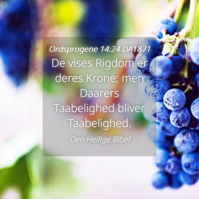 Picture 04 - Ordsprogene 14:24 DA1871 - De vises Rigdom er deres Krone; men Daarers - Bible Verse Picture