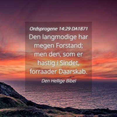 Picture 04 - Ordsprogene 14:29 DA1871 - Den langmodige har megen Forstand; men den, som - Bible Verse Picture