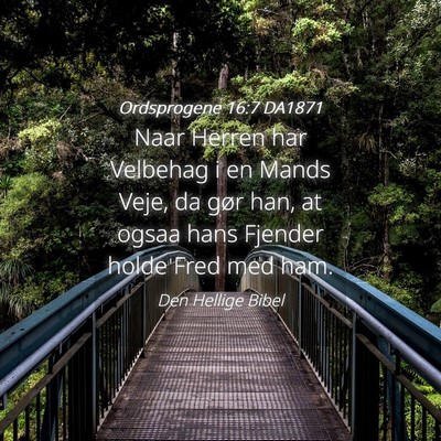 Picture 04 - Ordsprogene 16:7 DA1871 - Naar Herren har Velbehag i en Mands Veje, da gør - Bible Verse Picture