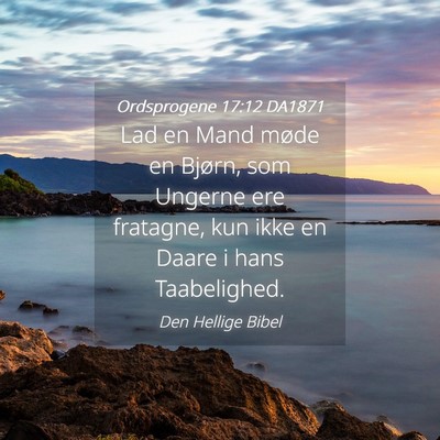 Picture 04 - Ordsprogene 17:12 DA1871 - Lad en Mand møde en Bjørn, som Ungerne ere - Bible Verse Picture