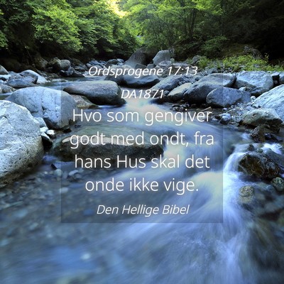 Picture 04 - Ordsprogene 17:13 DA1871 - Hvo som gengiver godt med ondt, fra hans Hus skal - Bible Verse Picture