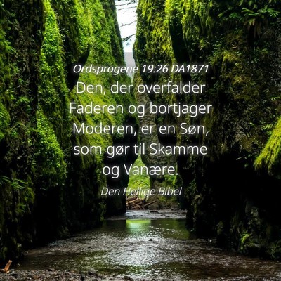 Picture 04 - Ordsprogene 19:26 DA1871 - Den, der overfalder Faderen og bortjager Moderen, - Bible Verse Picture