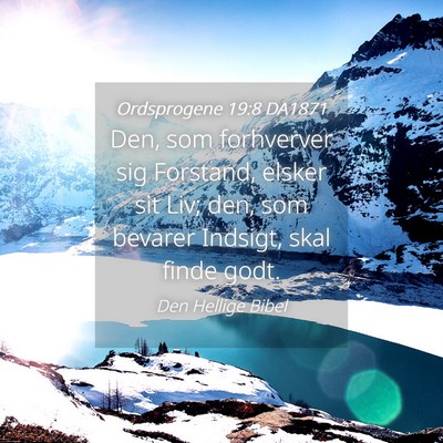 Picture 04 - Ordsprogene 19:8 DA1871 - Den, som forhverver sig Forstand, elsker sit Liv; - Bible Verse Picture