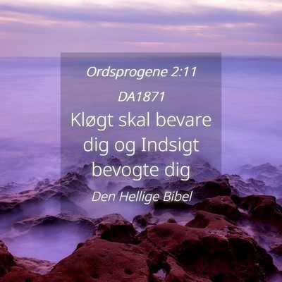 Picture 04 - Ordsprogene 2:11 DA1871 - Kløgt skal bevare dig og Indsigt bevogte - Bible Verse Picture