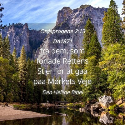Picture 04 - Ordsprogene 2:13 DA1871 - fra dem, som forlade Rettens Stier for at gaa paa - Bible Verse Picture