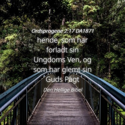 Picture 04 - Ordsprogene 2:17 DA1871 - hende, som har forladt sin Ungdoms Ven, og som - Bible Verse Picture