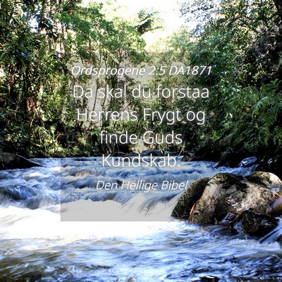 Picture 04 - Ordsprogene 2:5 DA1871 - Da skal du forstaa Herrens Frygt og finde Guds - Bible Verse Picture