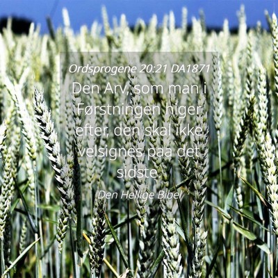 Picture 04 - Ordsprogene 20:21 DA1871 - Den Arv, som man i Førstningen higer efter, den - Bible Verse Picture