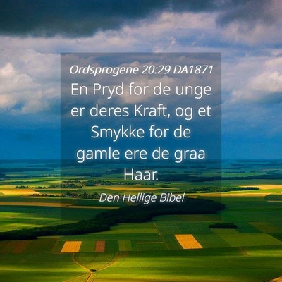 Picture 04 - Ordsprogene 20:29 DA1871 - En Pryd for de unge er deres Kraft, og et Smykke - Bible Verse Picture