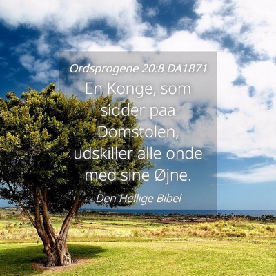 Picture 04 - Ordsprogene 20:8 DA1871 - En Konge, som sidder paa Domstolen, udskiller - Bible Verse Picture