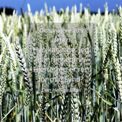 Picture 04 - Ordsprogene 20:9 DA1871 - Hvo kan sige: Jeg har renset mit Hjerte; jeg er - Bible Verse Picture